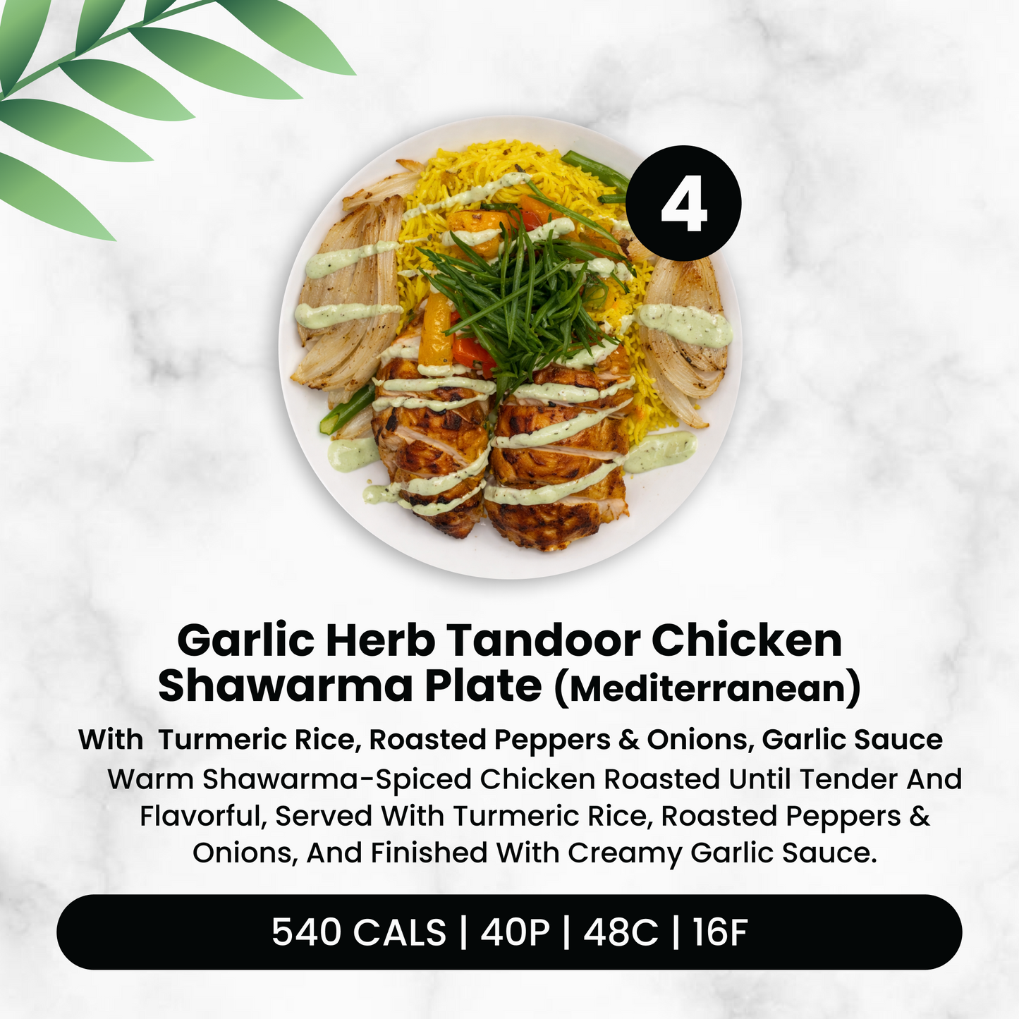 5 Meal Plan